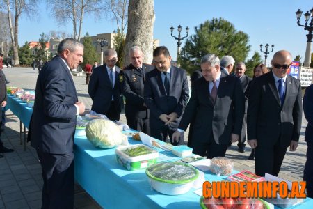 2017-ci il Tərtər rayonu üçün uğurlu olub - 