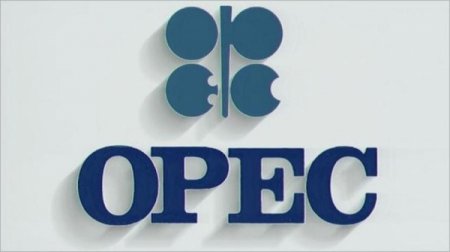 OPEC: “Qlobal enerji böhranı ola bilər”