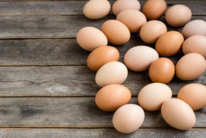 Yumurtanın qiyməti payız aylarında ucuzlaşa bilər