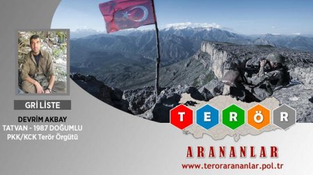 Türkiyədə daha bir təhlükəli PKK terrorçusu məhv edildi