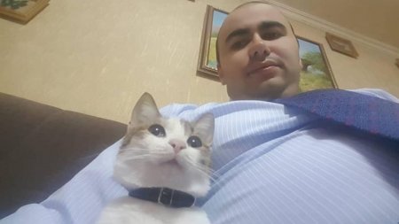 Əli Həsənovun oğlu işdən çıxandan sonra belə görüntüləndi - Əli Həsənovun oğlu işdən çıxandan sonra belə görüntüləndi -