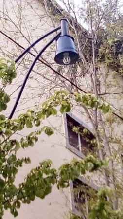 Lənkəranda inanılmaz “BÜDCƏ QƏNAƏTİ”: - Lənkəranda inanılmaz “BÜDCƏ QƏNAƏTİ”: -