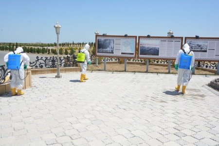 Təmas xəttinə yaxın kəndlərdə dezinfeksiya tədbirləri aparıldı  