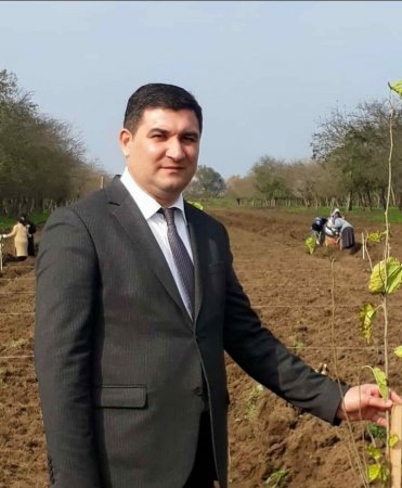 İcra başçısına birinci müavin təyin olundu - 