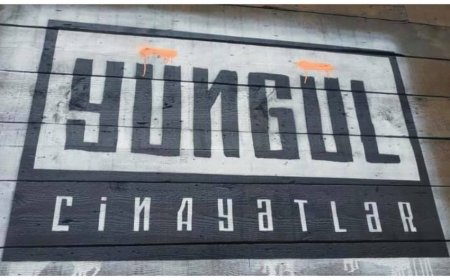 Bakıda “Yüngül cinayətlər” restoranı cərimələndi -