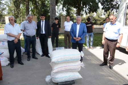Bu gün ilk olaraq Tərtərdə barama tədarükünə başlanılıb