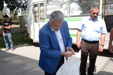 Bu gün ilk olaraq Tərtərdə barama tədarükünə başlanılıb