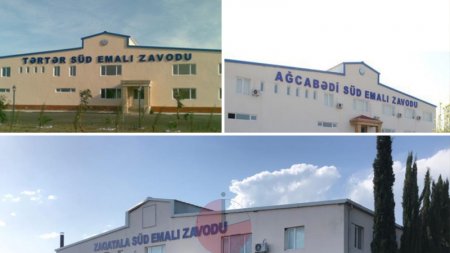 Azərbaycanda üç zavod satışa çıxarıldı  
