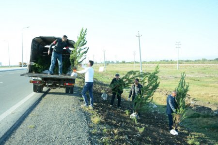 Tərtərdə "Yaşıl dünya naminə həmrəylik ili" çərçivəsində ümumrayon ağacəkmə aksiyası keçirilib