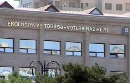 Nazir müavinin atlarının ayaqları altında məhv edilən yaşıllıq - 