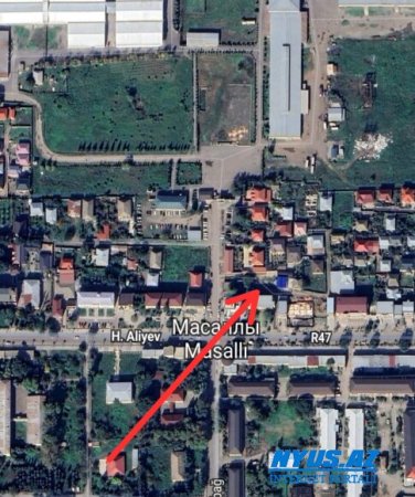Mirsalam Qəmbərov cəddinə arxayın olub ağacları kəsir? Mirsalam Qəmbərov cəddinə arxayın olub ağacları kəsir?