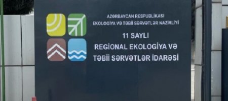 Mirsalam Qəmbərov cəddinə arxayın olub ağacları kəsir?