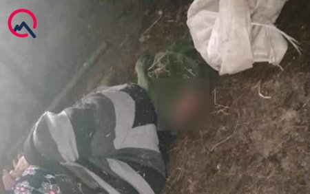 “Kəndimizdə indiyədək belə hadisə olmayıb, hamı şokdadır” - 