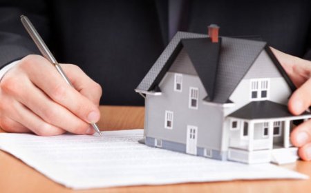 Hesablama Palatası: Azərbaycanın xaricdə 66 dövlət mülkiyyəti var