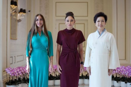 Mehriban Əliyeva Anna Akopyanla görüşdü – 