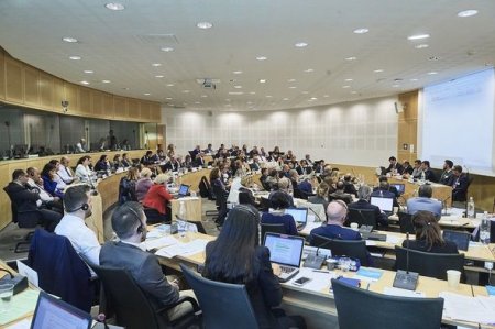 Avropa İnsan Hüquqları Məhkəməsinin xüsusi iclası keçirildi - 