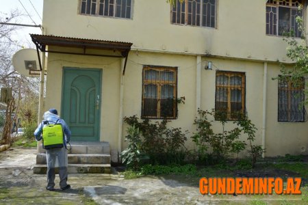 Bu gün də Tərtərdə dezinfeksiya işləri davam etdirilib - 