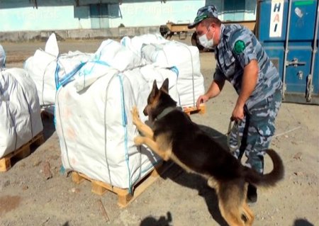 Azərbaycan üzərindən Polşaya 200 kq heroin aparılmasının qarşısı alınıb - 