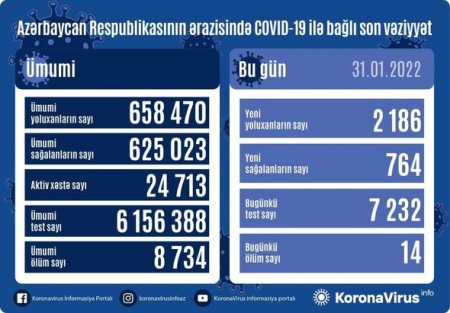 2 186 nəfər COVID-19-a yoluxub, 14 nəfər vəfat edib -  