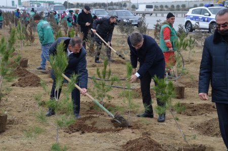 Xocalı soyqrımına həsr olunmuş ağacəkmə aksiyası keçirilib