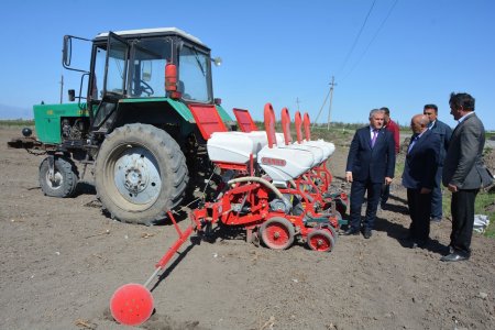 Tərtərdə çiyid səpininə başlanılıb