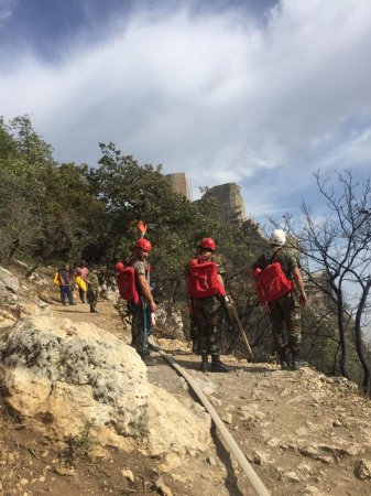 General “Qalaaltı”dakı yanğınla bağlı təcili müşavirə keçirdi -