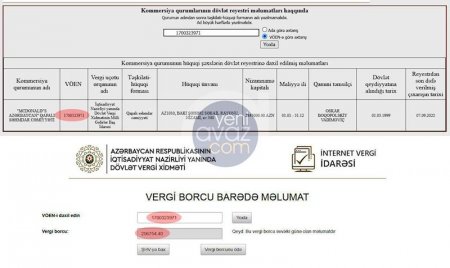 “McDonald's Azərbaycan”ın yüz minlərlə vergi borcu var... - 