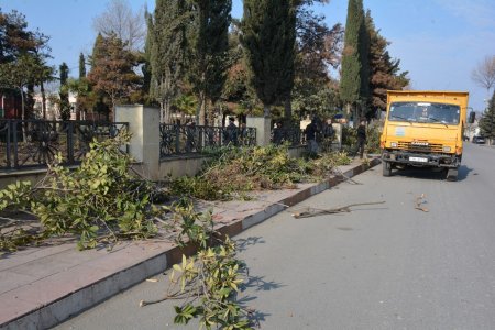 Tərtərdə qış mövsümü ilə əlaqədar işlər davam etdirilir