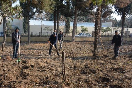 Tərtərdə qış mövsümü ilə əlaqədar işlər davam etdirilir