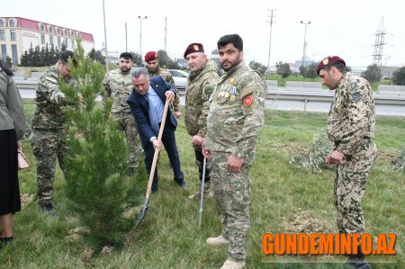 Abşeronda “Heydər Əliyev İli” çərçivəsində ağacəkmə aksiyası keçirilib - 