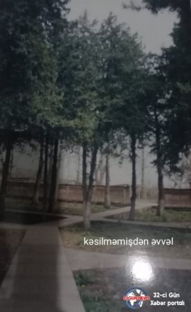 Qazaxda Əliağa Şıxlinski küçəsində növbəti "Yaşıl terror" - 