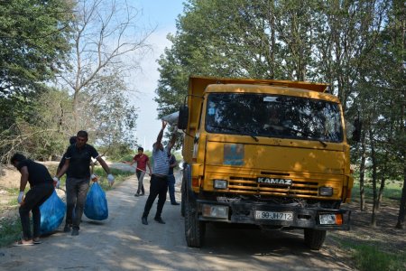 Xoruzlu kəndi ərazisində yerləşən meşə zolağında təmizlik aksiyası keçirilib 