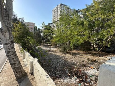 Nizami rayonunda yaşıl "soyqırım " davam edir 