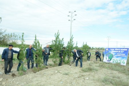 Tərtərdə "Yaşıl dünya naminə həmrəylik ili" çərçivəsində ağacəkmə aksiyası keçirilib