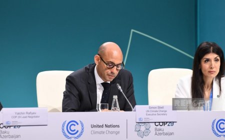 Saymon Stil: Bakıda keçirilən COP29-dan gözləntilər çoxdur