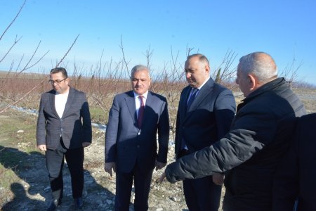 Tərtərdə yeni layihənin icrasına başlanıb 