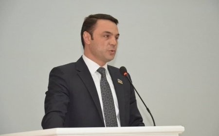 Sabiq deputat Eldəniz Səlimov azadlığa çıxıb