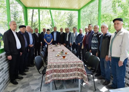 Tahir Mirkişilinin möcüzəvi "besedka"sı - 