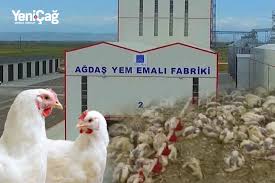 Siyəzəndə “zəhərli yem” FACİƏSİ: 100 minlik ziyan, saxta sənədlər, vergidən yayınma – Siyəzəndə “zəhərli yem” FACİƏSİ: 100 minlik ziyan, saxta sənədlər, vergidən yayınma –