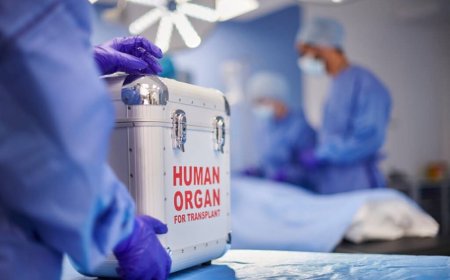 Azərbaycanda klinika direktoru bütün orqanlarını 