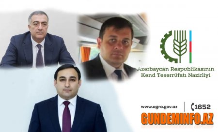 Fəda Abbasov Elçin Zeynalovla necə anlaşdı? –